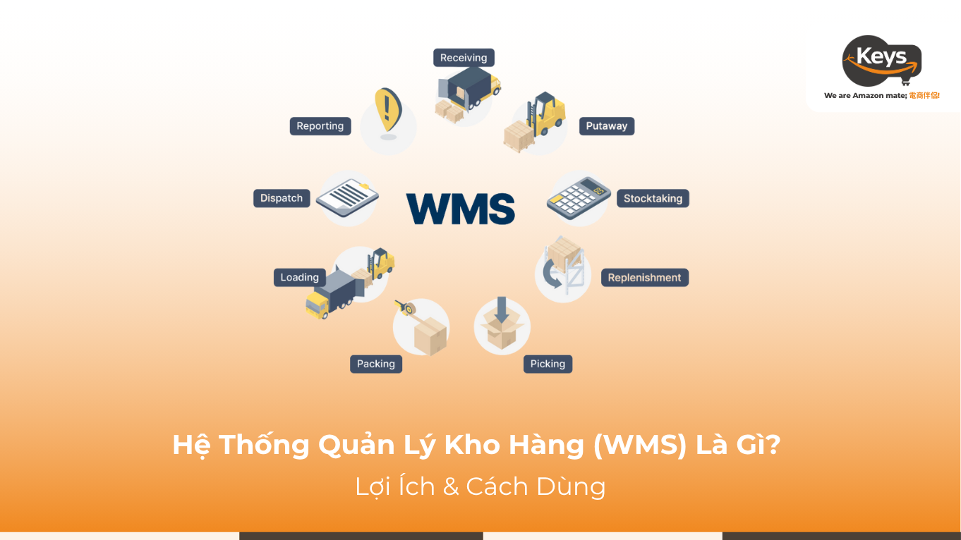 Hệ Thống Quản Lý Kho Hàng (WMS) Là Gì? Lợi Ích & Cách Dùng